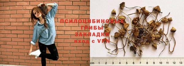 PSILOCYBIN Арсеньев