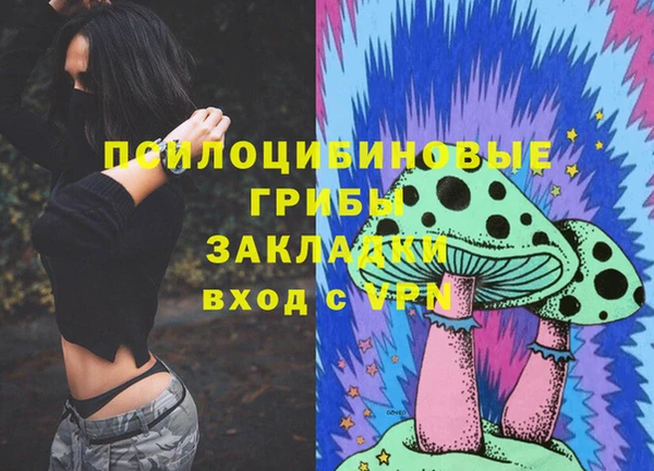 PSILOCYBIN Арсеньев