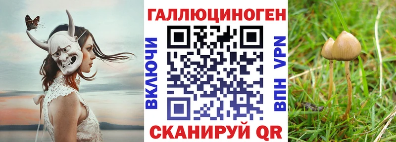 Псилоцибиновые грибы прущие грибы Слюдянка
